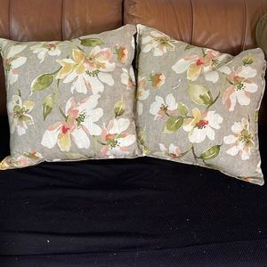 Two accent pillows